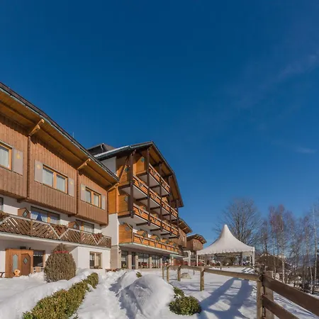 Hotel Ferienalm Panorama Schladming
