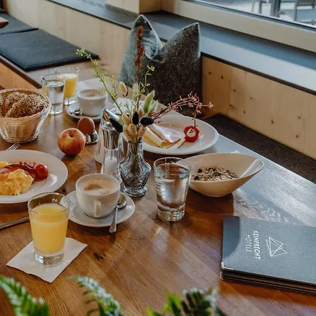 Ferienalm Panorama Schladming