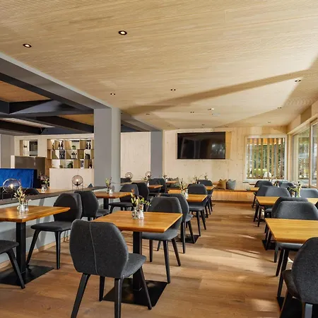 Ferienalm Panorama Schladming