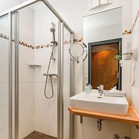 Ferienalm Panorama Schladming